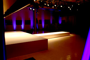Toronto Stage and Flooring 5
