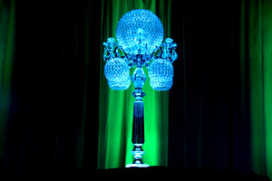 Wedding Lighting Decor Toronto 6