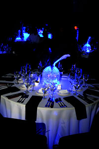 Wedding Lighting Decor Toronto 7