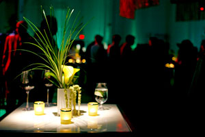 Wedding Lighting Decor Toronto 9