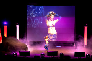 AV Screens Toronto 14