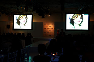 AV Screens Toronto 4