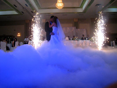 Toronto Wedding Ideas 2
